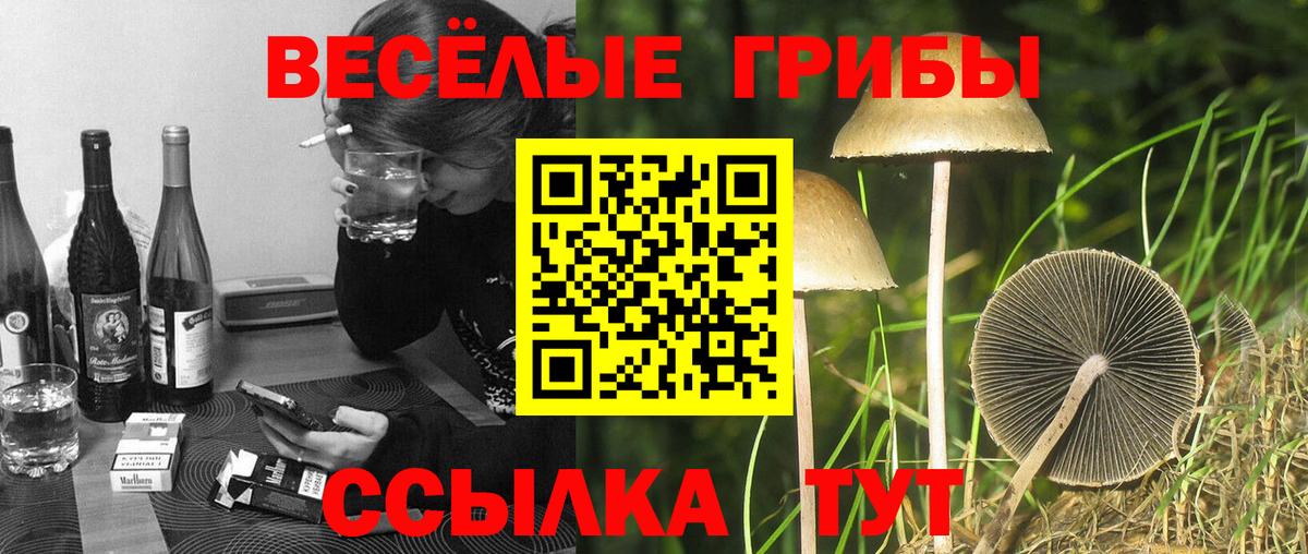 Галлюциногенные грибы MAGIC MUSHROOMS Южноуральск